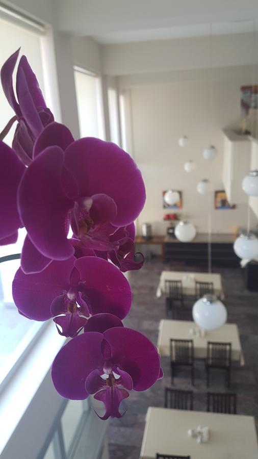 Ileri Hotel & Apartments Кешме Экстерьер фото